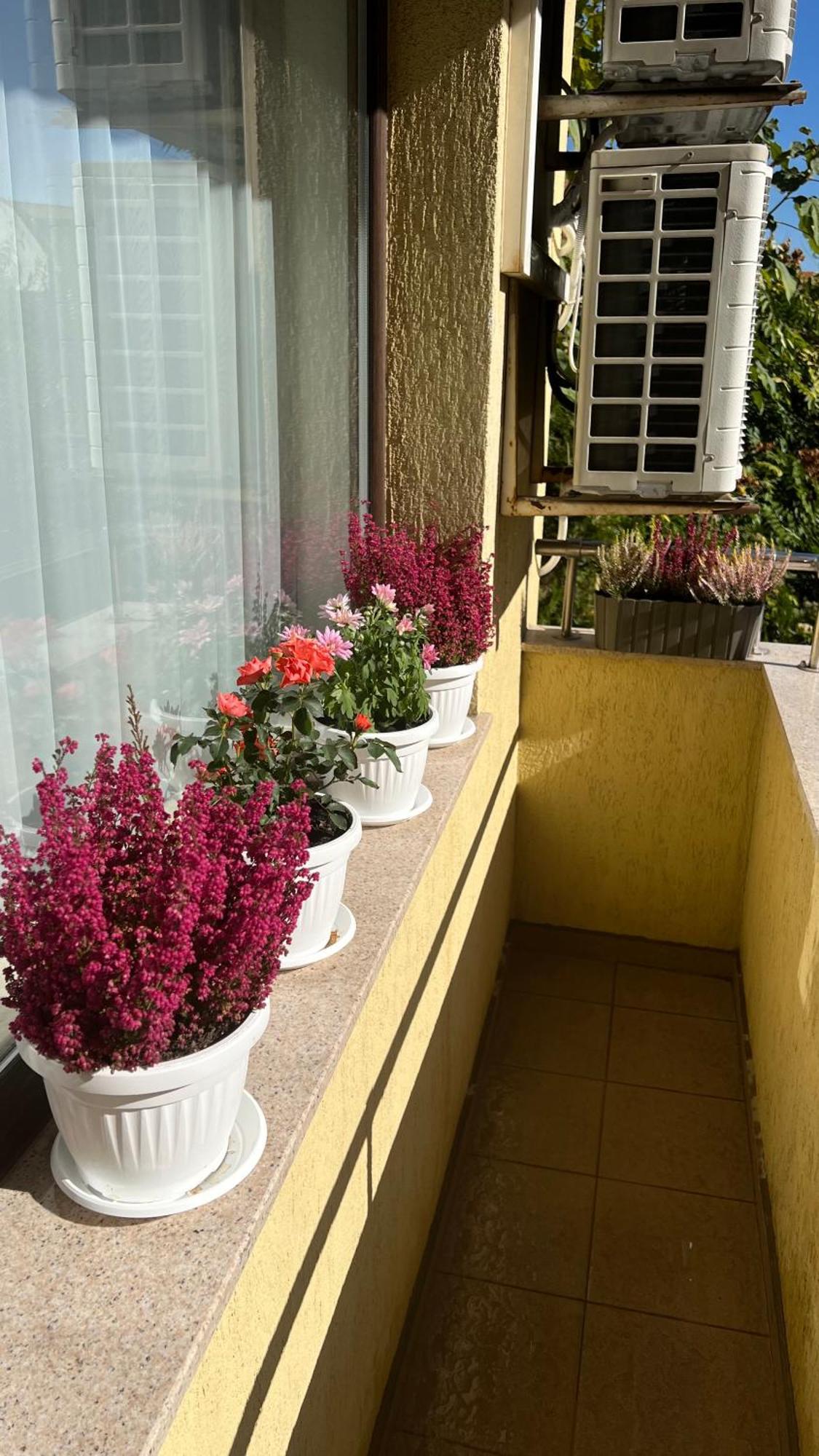 апартамен за гости панови Apartament Płowdiw